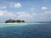 maldives 5.jpg